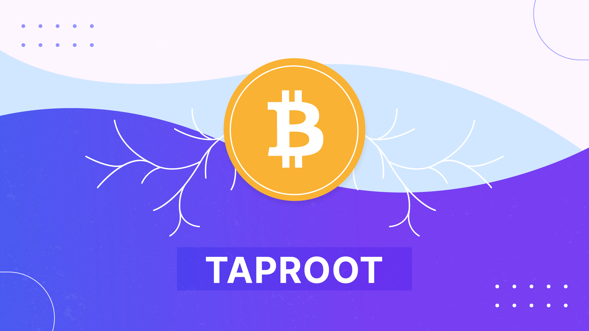 actualizacion taproot bitcoin