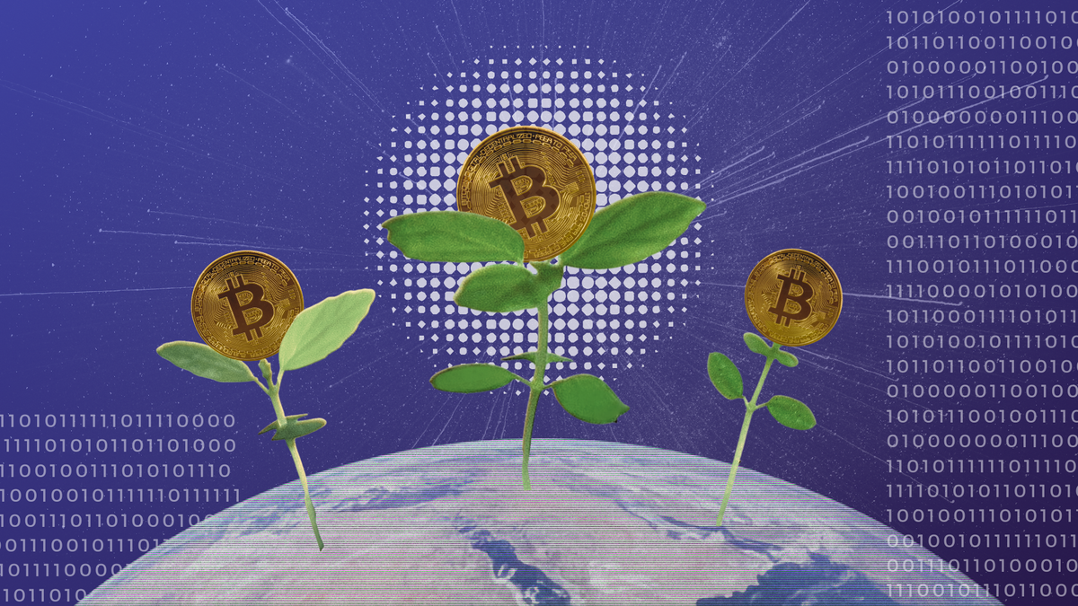 ¿Cómo puede Bitcoin ayudar al planeta? Post feature image