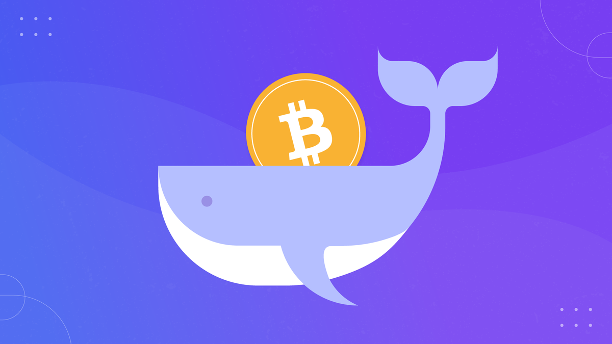 El secreto de las ballenas Post feature image