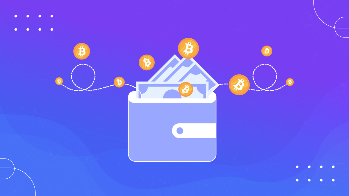 ¿Cómo guardar las crypto en un congelador? Post feature image